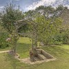 Valleymead Guest House, Gardens